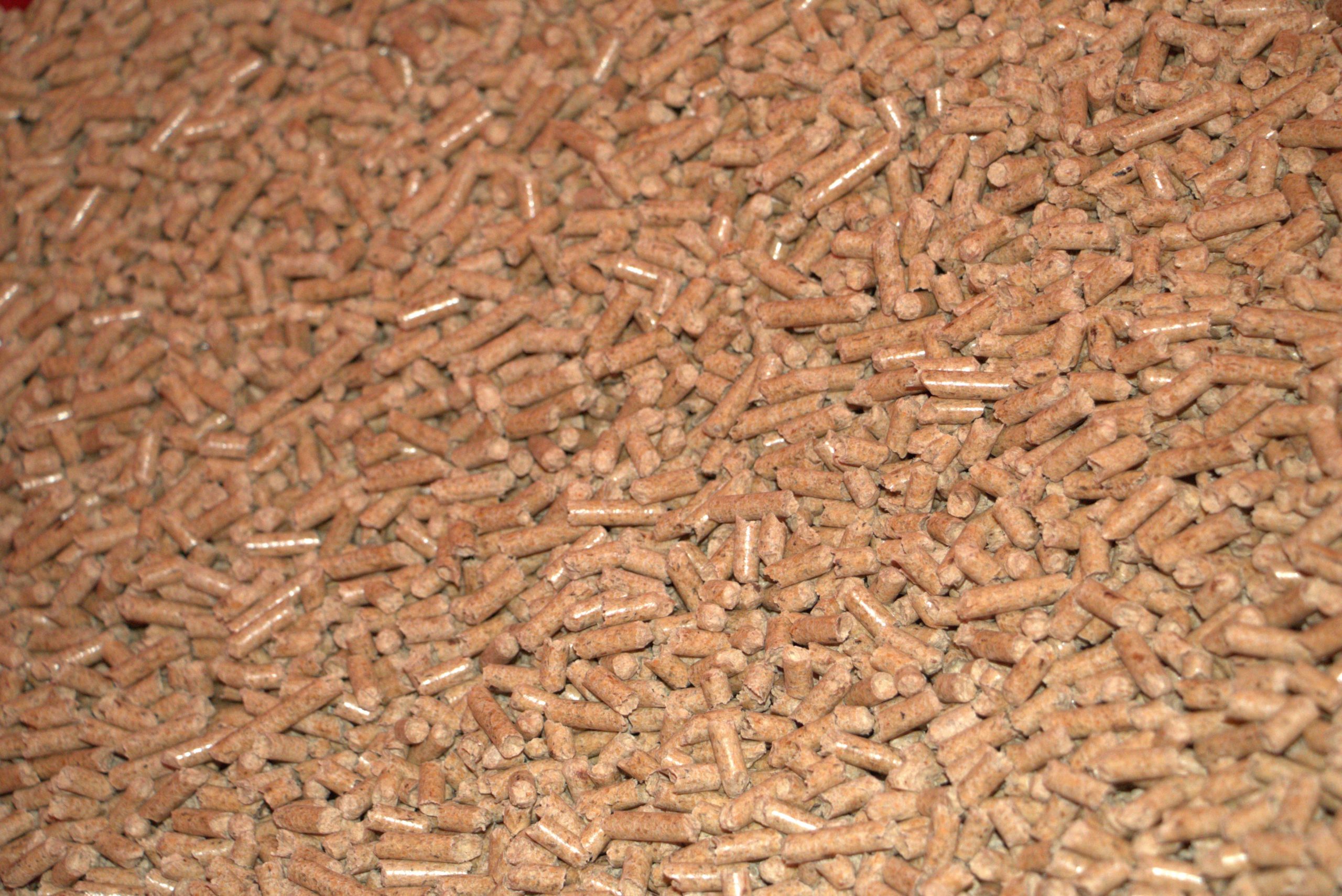 pellets